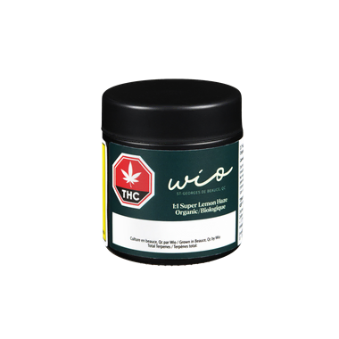 Super Lemon Haze Biologique